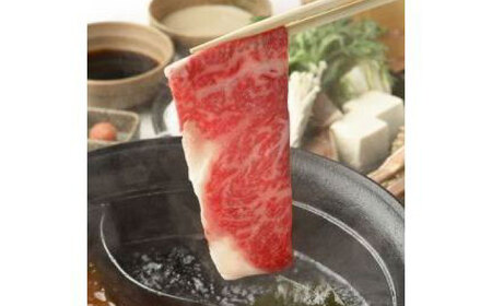 土佐黒毛和牛　ロースしゃぶしゃぶ用　約500g / とろけるやわらかさ 和牛 高知県産 国産和牛 牛肉 黒毛和種  【（有）蔵多堂】 [ATAE006]