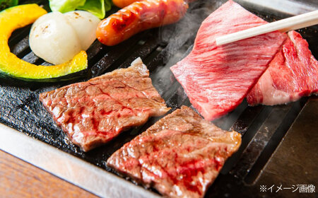 土佐黒毛和牛　ロース　焼き肉　約500g  / とろけるやわらかさ 和牛 高知県産 国産和牛 牛肉 黒毛和種  【（有）蔵多堂】[ATAE011]