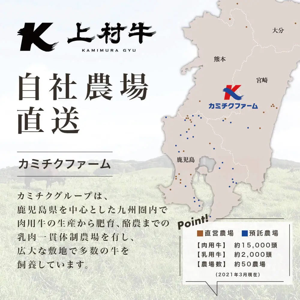 鹿児島県産 上村牛 赤身焼肉用 計600g (200g×3P) 小分け 冷凍 お肉 国産 焼肉 焼き肉 カミチク BBQ バーベキュー おうちごはん 南さつま市