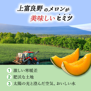 【令和8年産】 【糖度限界突破】ふらの 赤肉メロン Lサイズ（約1.7kg/玉）2玉 北海道 富良野 上富良野町 ふらの 赤肉 メロン フルーツ 果物 デザート メロン赤肉