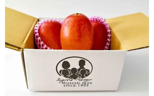 【先行予約】杉田農園 訳あり 西都市産 ご家庭用完熟マンゴー（２玉～3玉） 生産者直送 宮崎マンゴー　2026年発送＜38-1a＞