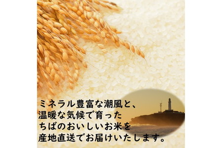 粒すけ 10kg 米