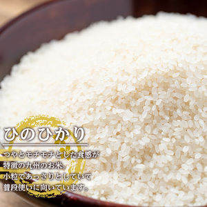 鹿児島県 出水市産 ひのひかり 美白米 3kg×2袋 計6kg 【田上商店】 i502