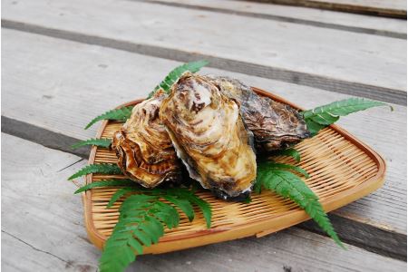 殻付き真牡蠣 4kg 30〜45個 朝どれ直送 牡蠣 かき 【配送不可地域：北海道、沖縄、離島】