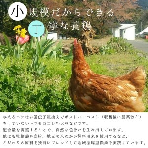 【卵 定期便３か月】赤岩高原たまご 40個×3か月 合計120個（特選）