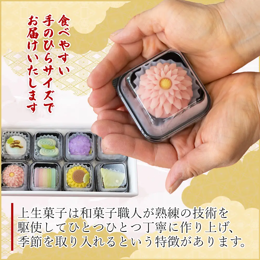 武市神栄堂の上生菓子 8個入り【 和菓子 老舗 生菓子 かわいい スイーツ 人気 おすすめ お取り寄せ 通販 高知 ふるさと納税】 yd-0019