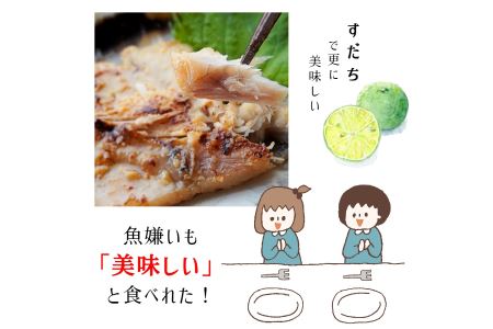 【定期便】ソフト干物 盛り合わせ 3～5種（発送月固定）