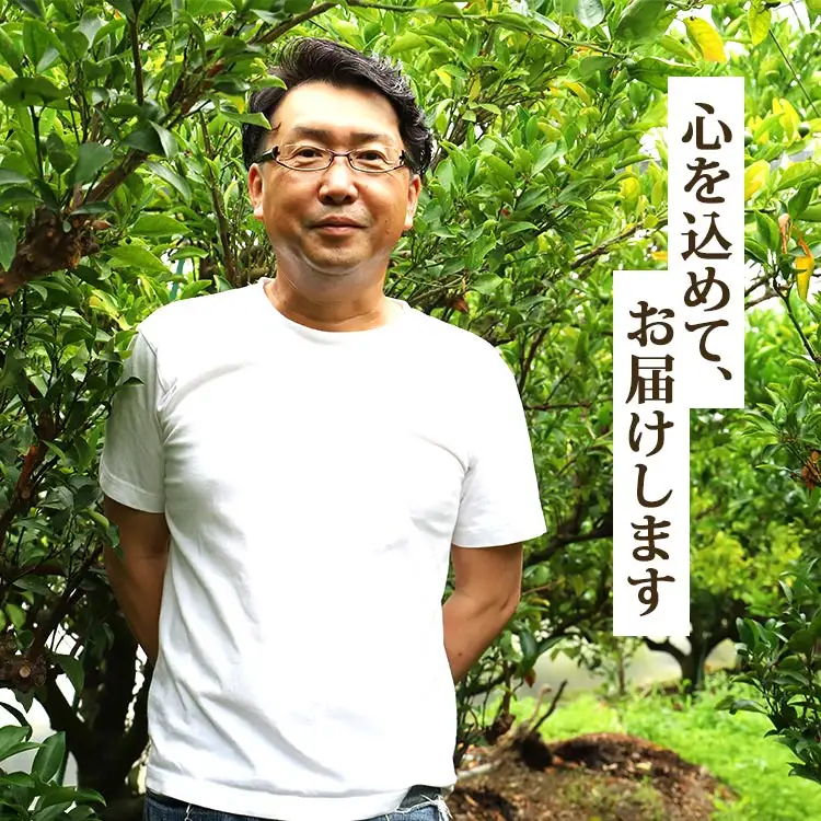 令和9年2月発送開始】せとか とろっとジューシー柑橘の女王 せとか 8