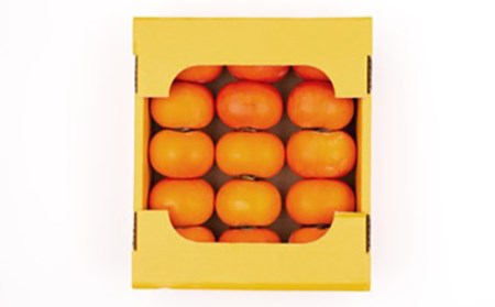 《先行予約 2026年度発送》庄内柿 3kg 15～24玉 柿 かき デザート フルーツ 果物 くだもの 果実 食品 山形県 FSY-2600