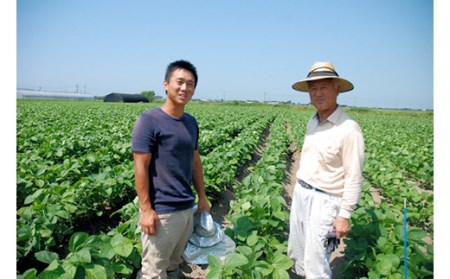 《先行予約 2026年度発送》枝豆の王様『鶴岡白山だだちゃ豆(早生・本豆)』1kgダブル えだ豆 豆類 豆 枝豆 えだまめ 野菜 食品 山形県 FSY-0157