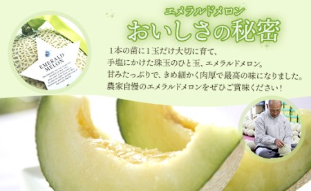 フルーツセット 計2玉 フルーツ エメラルドメロン ルナ・ピエナスイカ yu-0071