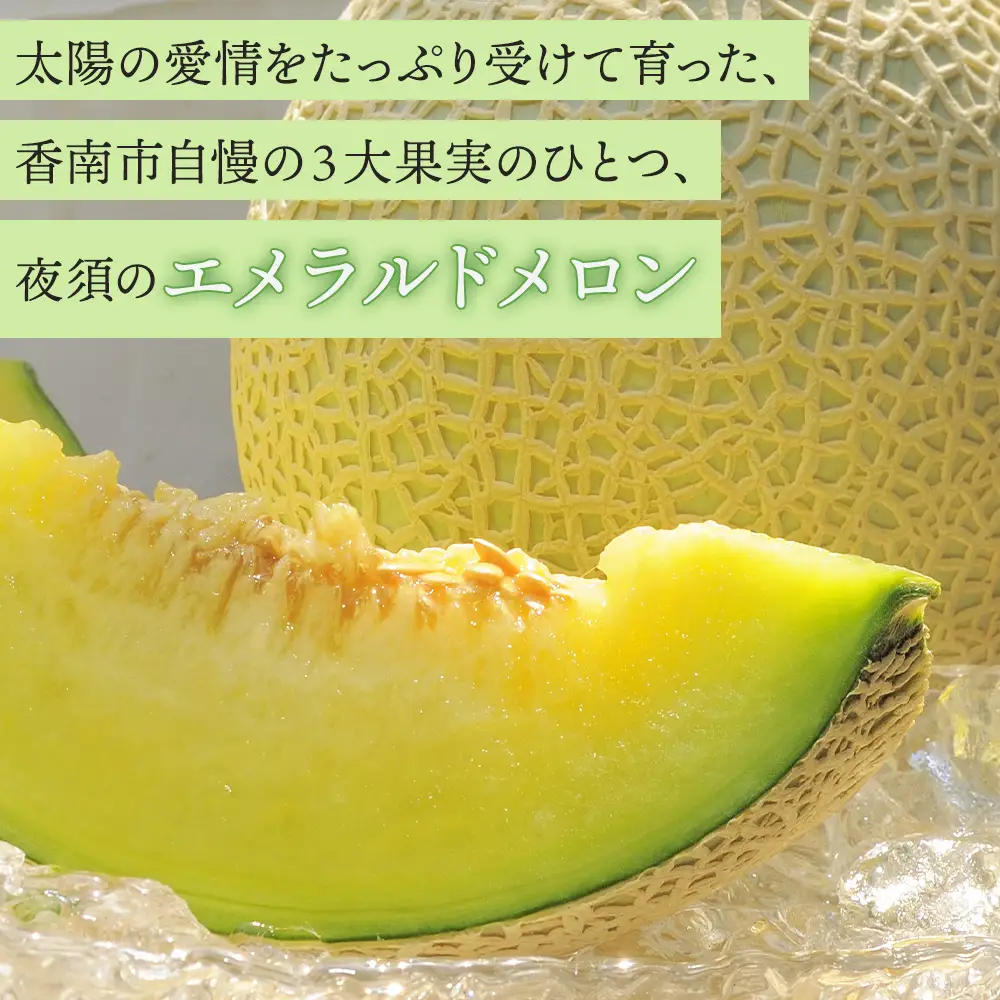 エメラルドメロン 発送開始 ２玉 | ブランドメロン JA夜須  yu-0049