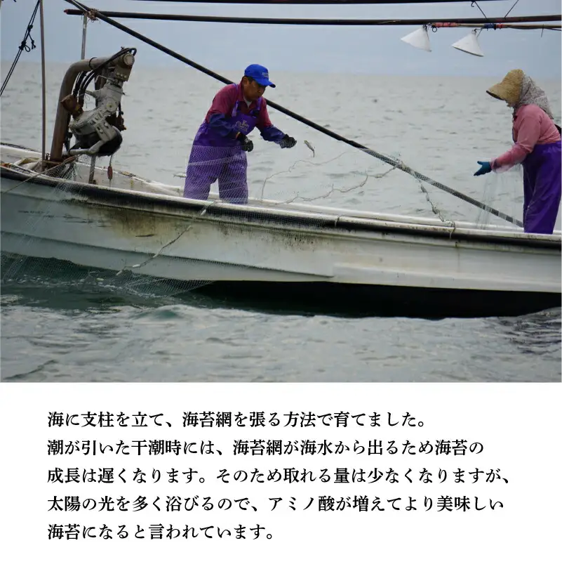 網田漁協 初摘み御輿来（おこしき）海苔20枚 _U46-0010