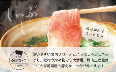 【数量限定】宮崎県産豚 ロース500g・バラスライス500g 計1kg_K049-002