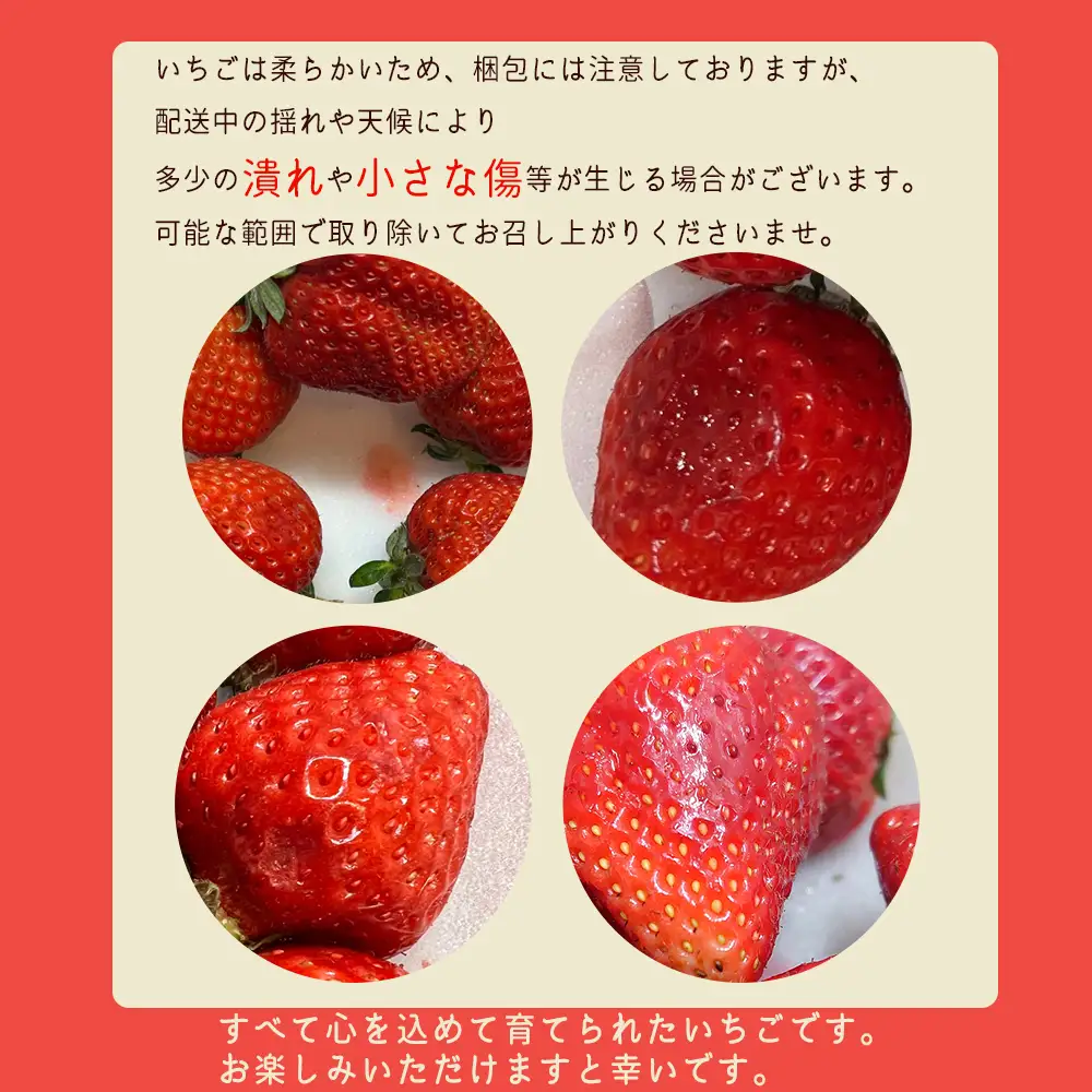 【先行予約／2027年出荷】【福岡県産あまおう】 訳あり グランデ　約270ｇ前後×6Ｐ 2VB6