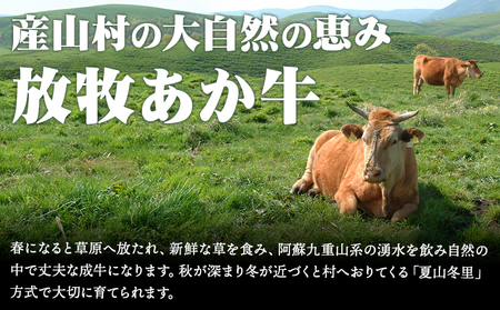 あか牛極上ステーキ・すきやきセット すき焼き|焼肉正