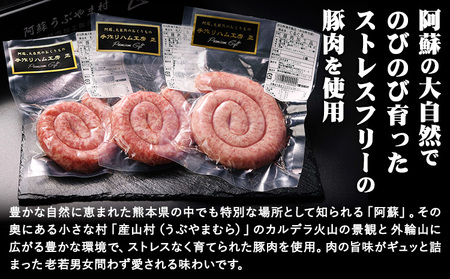阿蘇 ぐるぐるウインナーセット |焼肉正