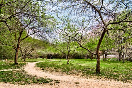 ～手軽に使える～キャンプ場 割引券（1,500円分） [Ogawa Plum Garden for campers 埼玉県小川町 141]