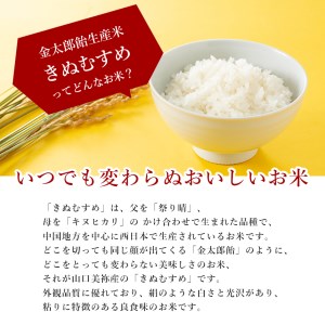 令和7年産 米 金太郎飴生産米 きぬむすめ 山口美祢産 5kg