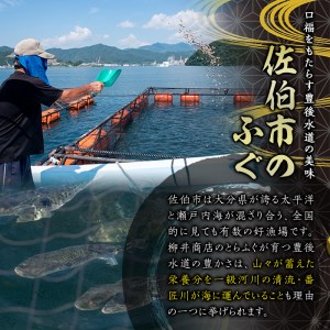 ストックする ふぐちり (約600g・約300g×2袋) 小分け ふぐ フグ 冷凍 国産 大分県 佐伯市【AB97】【柳井商店】