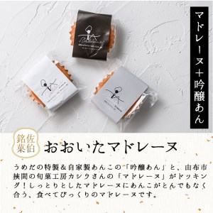おおいたマドレーヌ (合計15個・3種) マドレーヌ 餡 スイーツ お菓子 おやつ 焼き菓子 洋菓子 詰め合わせ お取り寄せ 個装 常温 大分県 佐伯市【AG121】【お菓子のウメダ】