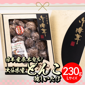 日本産原木育ち！大分県産どんこ乾しいたけ(計230g・Lサイズ) 九州産 大分県産 国産 しいたけ 椎茸 乾燥椎茸 乾燥シイタケ 乾燥しいたけ 干しいたけ 干シイタケ 原木しいたけ 佐伯市【HD132】【さいき本舗 城下堂】
