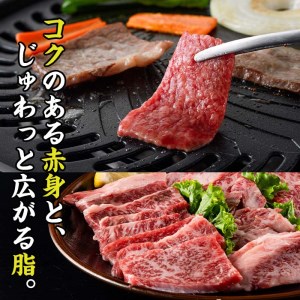 おおいた和牛 焼肉 (300g) 国産 豊後牛 BBQ バーベキュー 惣菜 やきにく おかず 百年の恵み 大分県 佐伯市【BD164】【西日本畜産 (株)】