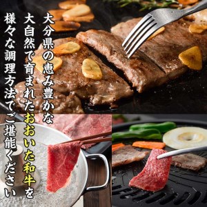 おおいた 和牛 3種 セット (合計1.66kg・サーロインステーキ180g×2枚・ウデ肉700g・焼肉300g×2P) 国産 豊後牛 BBQ 赤身 バーベキュー 惣菜 やきにく おかず 百年の恵み 【BD186】【西日本畜産 (株)】