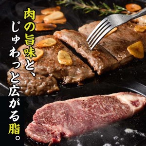 おおいた 和牛 サーロイン ステーキ (計720g・180g×4枚) 国産 豊後牛 BBQ バーベキュー 惣菜 やきにく おかず 百年の恵み 大分県 佐伯市【BD194】【西日本畜産 (株)】