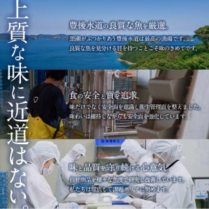  豊後水道産 しらす (合計600g・100g×6袋) 冷凍 しらす しらす丼 丼ぶり 魚 さかな ご飯 ごはん 炒飯 チャーハン パスタ サラダ 国産 大分県 パック 小分け 便利 大分県 佐伯市【CT09】【 (有)高橋商店】