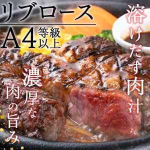 おおいた和牛 リブロースステーキ (計500g・リブロースステーキ約250ｇ×2枚+ステーキソース20g×2袋) 国産 牛肉 肉 霜降り 低温熟成 ステーキ A4 和牛 ブランド牛 BBQ 冷凍 大分県 佐伯市【DH69】【(株)ネクサ】
