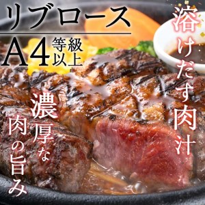 おおいた和牛 リブロースステーキ (計1kg・リブロースステーキ約250ｇ×4枚+ステーキソース20g×4袋) 国産 牛肉 肉 霜降り 低温熟成 ステーキ A4 和牛 ブランド牛 BBQ 冷凍 大分県 佐伯市【DH70】【(株)ネクサ】