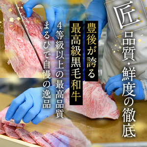 おおいた和牛 サーロイン ヒレ ステーキ セット ソース付き (合計620g・サーロイン180g×2枚・ヒレ130g×2枚) サーロイン ステーキ 国産 4等級 冷凍 和牛 牛肉 詰め合わせ 大分県 佐伯市【DP75】【 (株)まるひで】