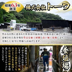 生簀直送 とらふぐ 鍋 セット (4-5人前) 魚 ふぐ 河豚 ふぐちり ポン酢 冷凍 佐伯 養殖 大分県 佐伯市【EA11】【トーワ】