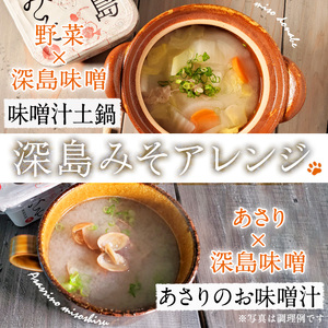 深島みそ (計約2kg・680g×3個) 味噌 みそ 味噌汁 麹 調味料 安部さん 手作り 【EK01】【でぃーぷまりん】
