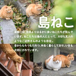 深島の猫へ寄付と深島猫グッズ (Aプラン・計4種) 猫 ネコ ねこ 寄附 ポストカード カレンダー ハンドタオル 大分県 佐伯市【EK08】【でぃーぷまりん】