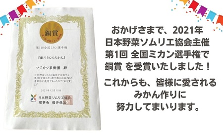 2026年秋よりお届け 農園直送 田口早生みかん　約3kg 果物類 柑橘類 ミカン フルーツ 