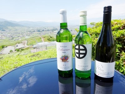 ワイン 自宅で気軽に日本ワイン赤白2本セット（MG）B-690