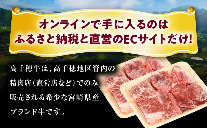 【3ヶ月定期便】 高千穂牛 すね肉 400g×2パック×3回 和牛 牛肉 肉 お肉 精肉 定期便 定期 国産牛 ブランド牛 黒毛和牛 すね 牛すね肉 A4等級以上 宮崎県産 国産 贈答 贈り物 煮込み料理 シチュー カレー 普段使い 簡単調理 _Tk002-t076