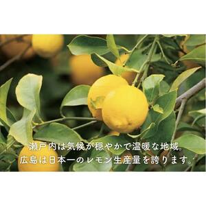 完全無添加 生レモンペースト800g(200g×4PC)