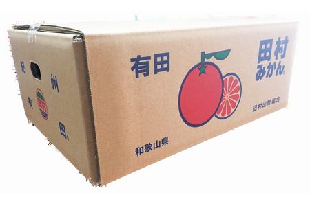 田村みかん 5kg【予約】みかん 【uot504A】
