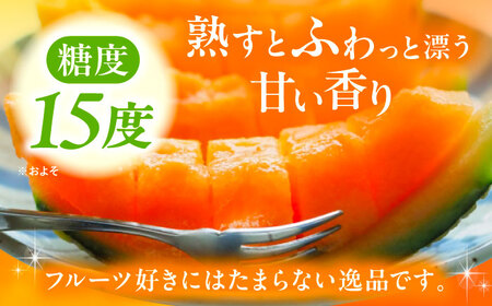 【先行予約】北海道産 高糖度 赤肉メロン 2玉 (合計3.0kg) 品種ルピアレッド ／ あしょろ銀河メロン 果物 ※2026年7月下旬以降発送 [BEAO001]