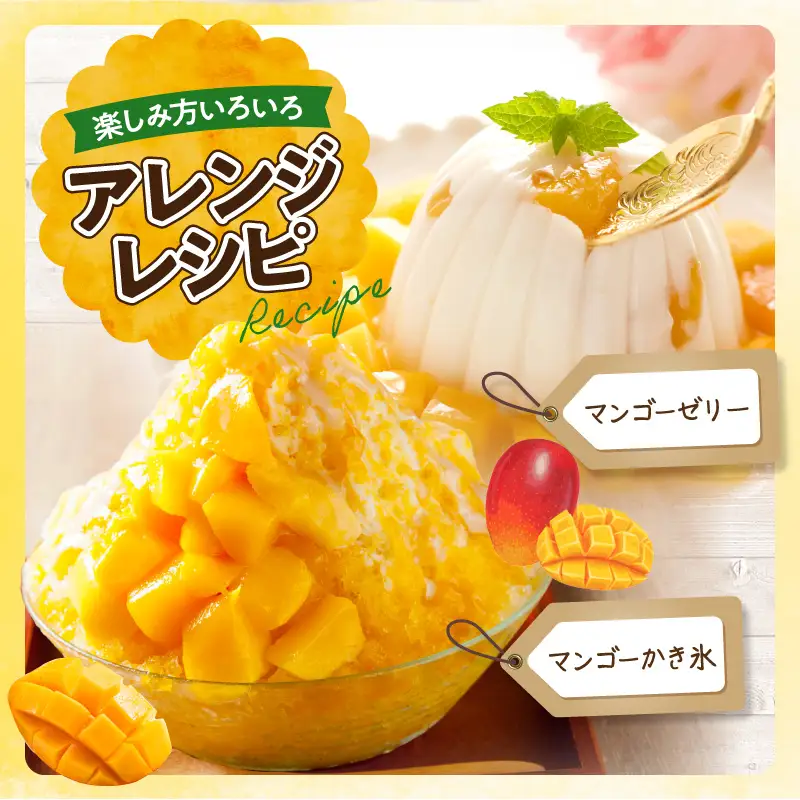 マンゴー 完熟 マンゴー 期間限定[宮崎 A3L 2玉 約1kg]