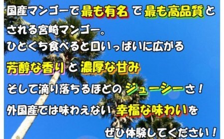【2026年発送先行予約】《数量・期間限定》完熟！宮崎マンゴー 特秀 大玉4Lサイズ約600g 1玉化粧箱入り 国産 マンゴー 特秀品 600g 1玉 化粧箱 化粧箱入り 完熟 大玉 4L 冷蔵 フルーツ 果物 旬の果物 くだもの 特産品 お取り寄せ 贈答 ギフト