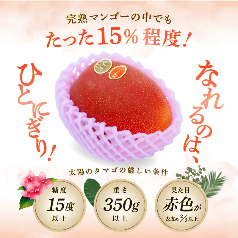 太陽のタマゴ マンゴー 太陽のタマゴ[宮崎 1玉 約350g以上]