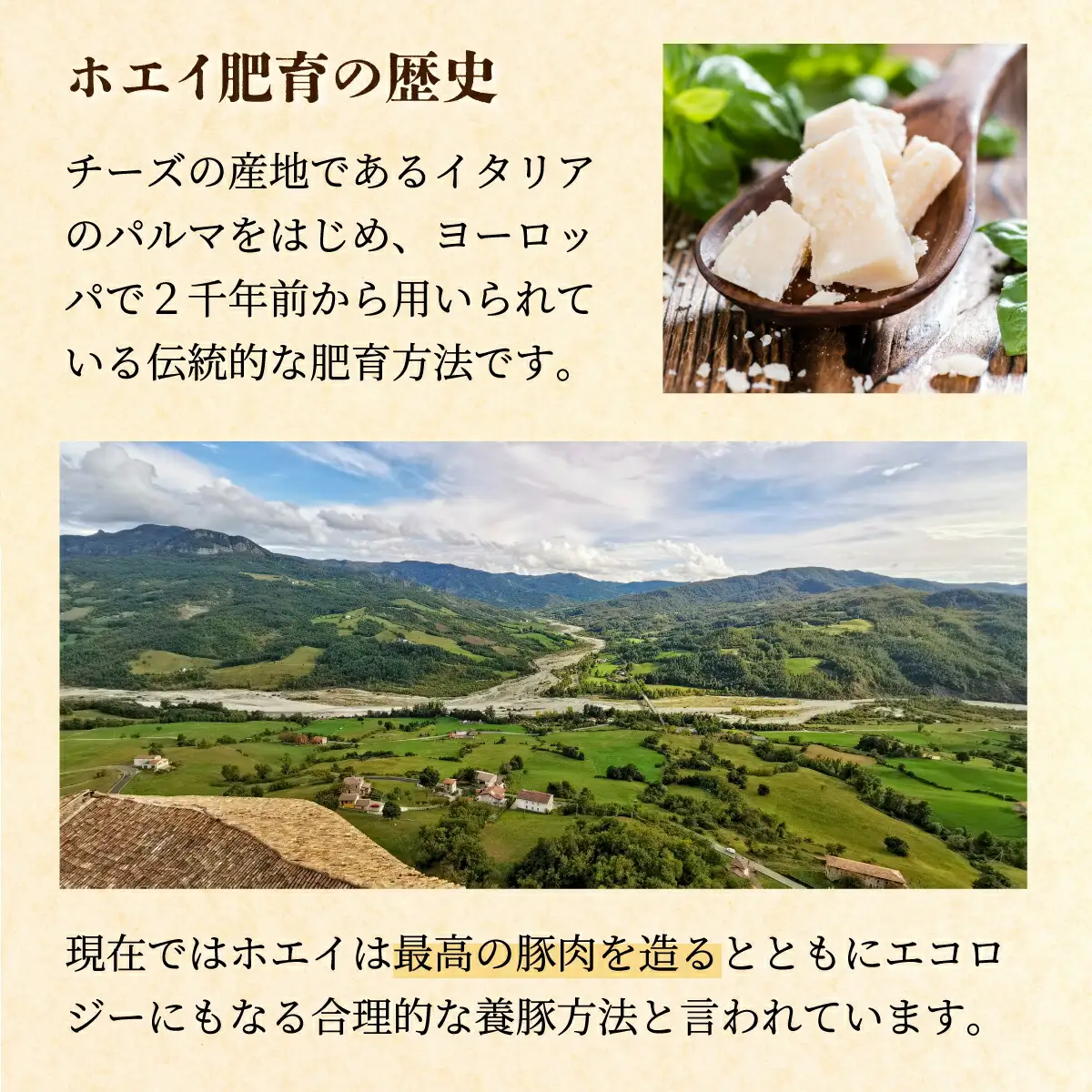 肉のあさひ のぼりべつ乳清豚（ホエー）みそ漬け（ロース肉）100g×8枚[全2回お届け]