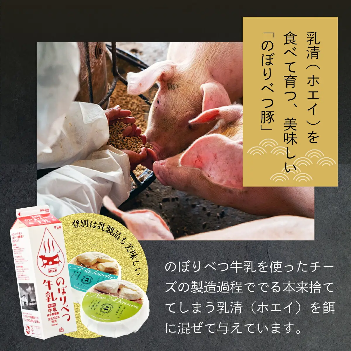 肉のあさひ 人気のお礼の品定期便[3回お届け]