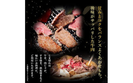 四万十麦酒牛 600g こま切れ / 厚切り焼肉用（各300gセット） 小間切れ 詰め合わせ ビール牛 赤身 冷凍  ／Asz-37