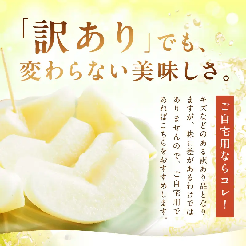 【訳あり】 二十世紀梨 5kg（10～16玉）《8月下旬以降発送》梨
