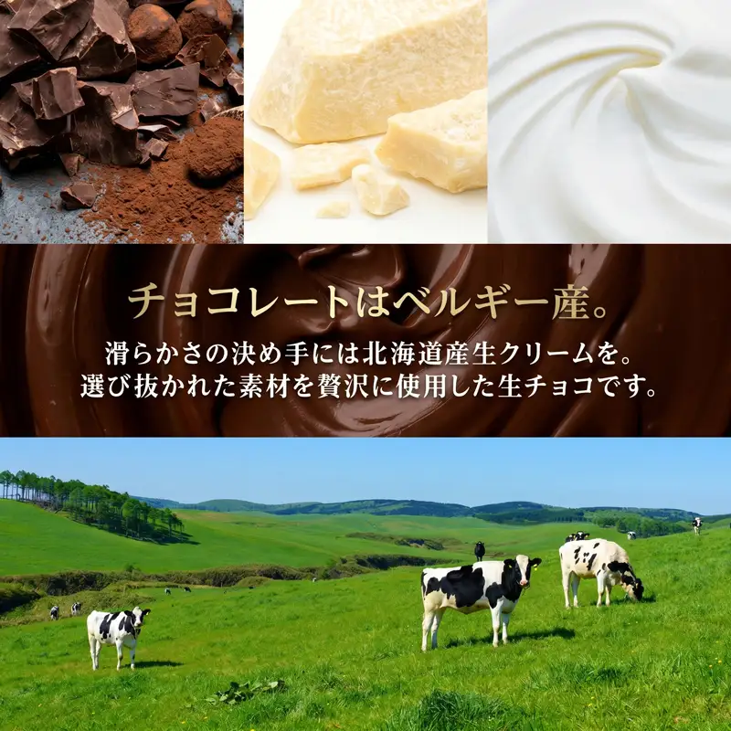 チョコレート スイーツ 生チョコ生みの親監修 チョコレート